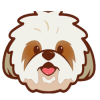 Shih Tzu (SHIH) Shih Tzu (SHIH)