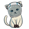 Siamese Neko (SIAM) Siamese Neko (SIAM)