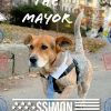 Simon for NYC  dog Mayor (SIMON)