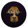 Snoop Doge (SNOGE) Snoop Doge (SNOGE)