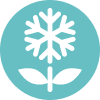 SnowBlossom (SNOW) SnowBlossom (SNOW)