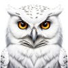 Snowy Owl (SWOL) Snowy Owl (SWOL)