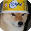 Sol Killer (DAMN) Sol Killer (DAMN)