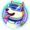 SolDoge (SDOGE) SolDoge (SDOGE)