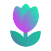 SolFarm (TULIP) SolFarm (TULIP)