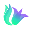 Solily Protocol (LILY)