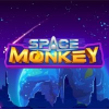 Space Monkey Token (MONKE) Space Monkey Token (MONKE)