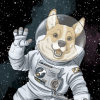 SpaceCorgi (SCORGI) SpaceCorgi (SCORGI)
