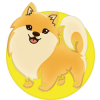 Spitz Chain (SPC) Spitz Chain (SPC)
