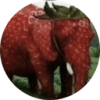Strawberry Elephant (SE) Strawberry Elephant (SE)