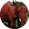 Strawberry Elephant (SE) Strawberry Elephant (SE)