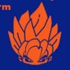 Super Saiya-jin (SSJ) Super Saiya-jin (SSJ)