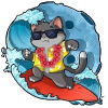 SurfMoon (SURFMOON) SurfMoon (SURFMOON)