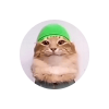 tabi-tab-cat-tabibi-coin-logo.png