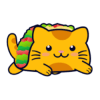 Taco Cat (TACOCAT)