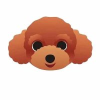 teddy-dog-tdg-coin-logo-v2.png