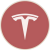 Tesla rStock (TSLAR)