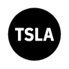 Tesla Tokenized Stock Defichain (DTSLA) Tesla Tokenized Stock Defichain (DTSLA)