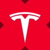 tesla-xstock-tslax-coin-logo.png