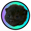 The Itty Bitty Kitty (ITTY)