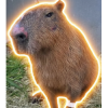 The survivor (CAPYBARA)