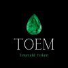 TOEM Token (TOEM)
