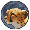 Token Cheetah (CHTT) Token Cheetah (CHTT)