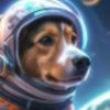 TON DOG (TDOG) TON DOG (TDOG)