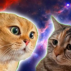 TwoTalkingCats (TWOCAT) TwoTalkingCats (TWOCAT)