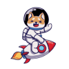 United Doge Finance (UDOG) United Doge Finance (UDOG)