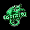 USDTATSU GAMING (USDTG)