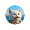 vankedisi-vankedisi-coin-logo.png vankedisi-vankedisi-coin-logo.png