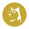 Venus DOGE (VDOGE)