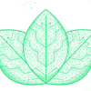 Viridis Network (VRD) Viridis Network (VRD)