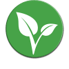 Vitae Token (VITAE) Vitae Token (VITAE)