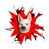Volt Inu (VOLT) Volt Inu (VOLT)