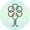 Winding Tree (LIF) Winding Tree (LIF)