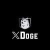 XDOGE (XDOGE) XDOGE (XDOGE)