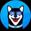 XRdoge (XRDOGE) XRdoge (XRDOGE)