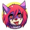 Yandere Shiba (YANSH) Yandere Shiba (YANSH)