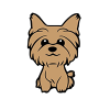 Yorkshire Inu (YSI) Yorkshire Inu (YSI)