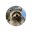 First Convicted RACCON
