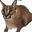 Floppa Cat