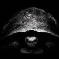 Gradatim Ferociter Logo