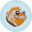 Koi