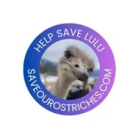 Lulu the Ostrich