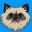 Mister Miggles