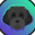 Myro