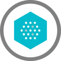 Nami Corporation Token