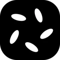 Nest BlackOpal LiquidStone II Vault